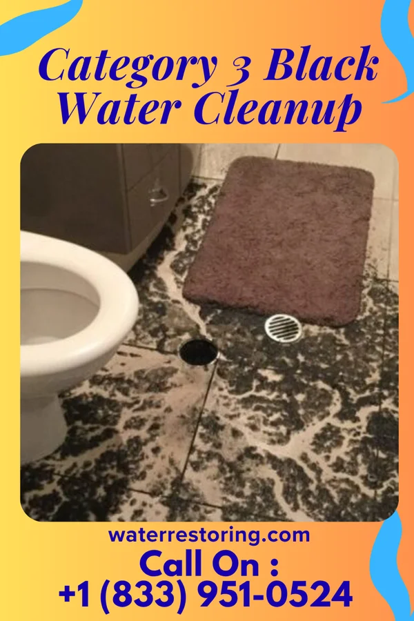 Category 3 Black Water Cleanup in Calvin, LA