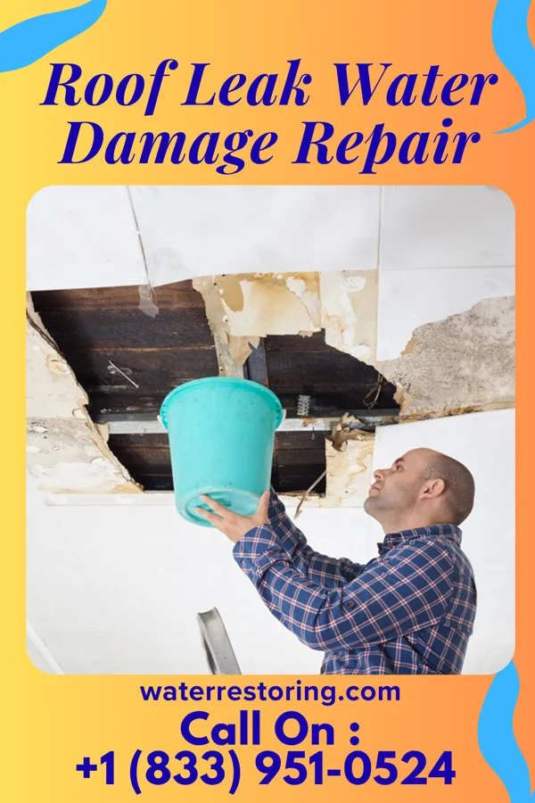 Roof Leak Water Damage Repair in Calvin, LA