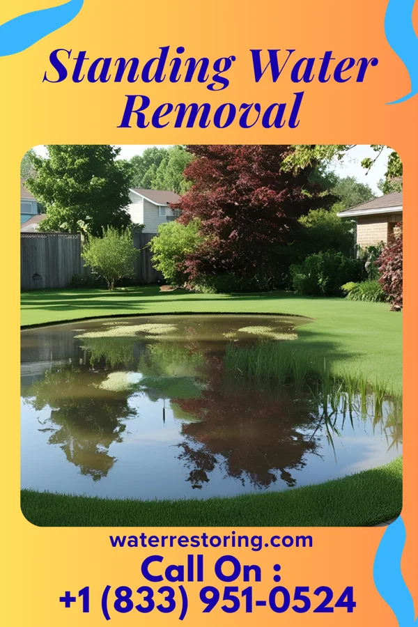 Standing Water Removal in Calvin, LA